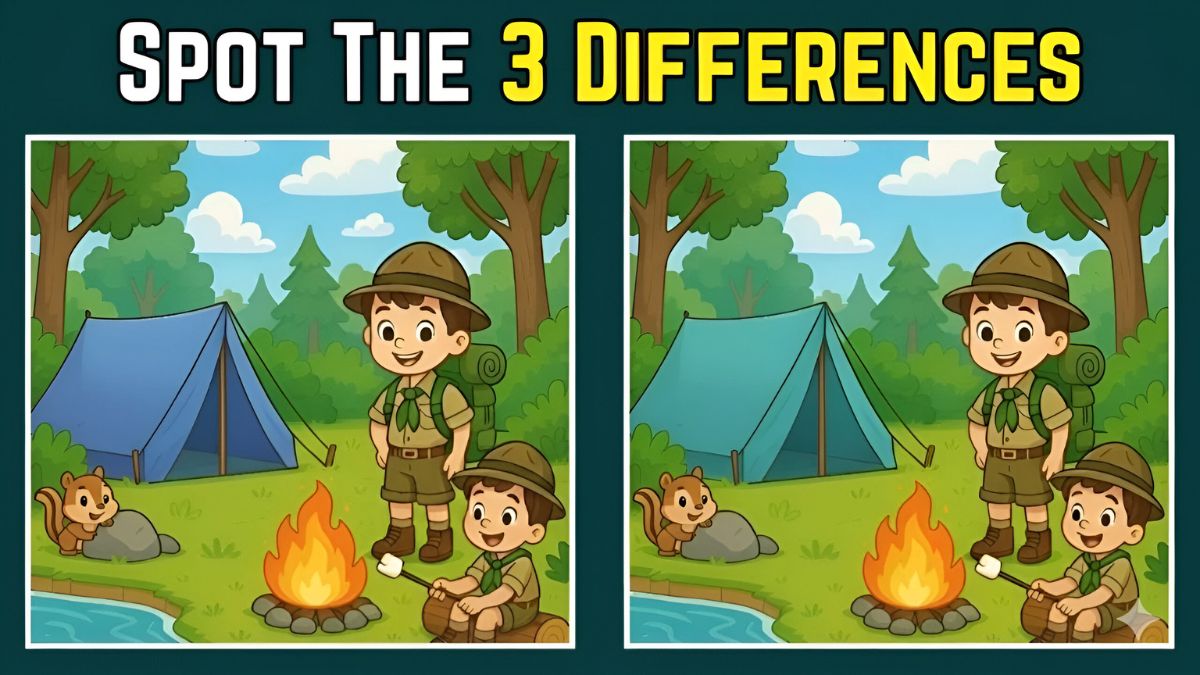 Spot 3 Differences in the Camping Picture Can You Find Them in 12 Seconds